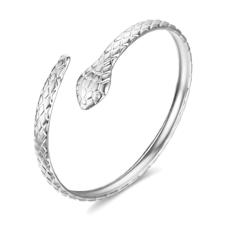 Stainless steel snake bracelet, Intensity