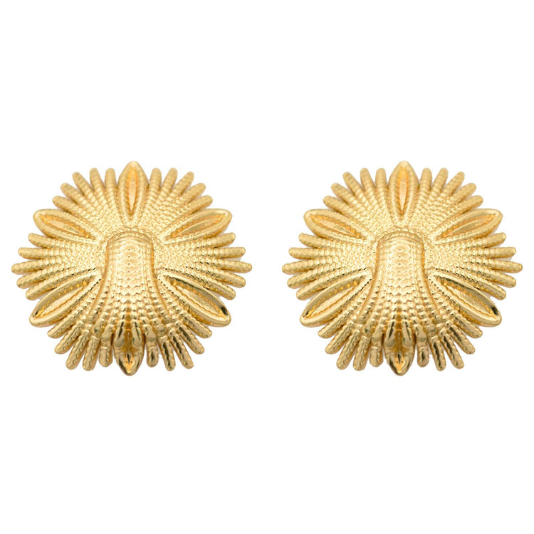 18K gold plated Stainless steel earrings, Intensity