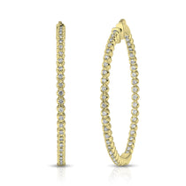 Coveted Eternity