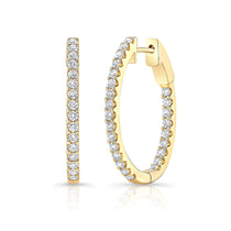 Coveted Hoops