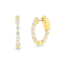 Coveted Hoops
