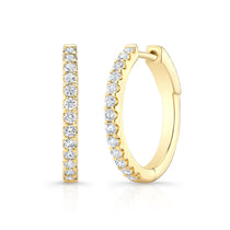 Coveted Hoops