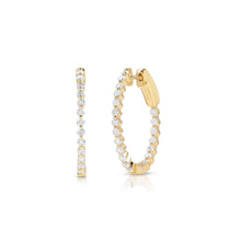 Coveted Hoops