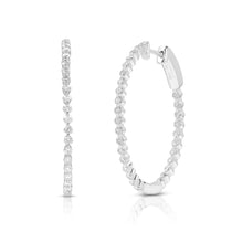 Coveted Hoops