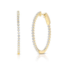 Coveted Hoops